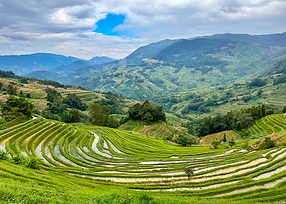 Yuanyang Rice Terraces